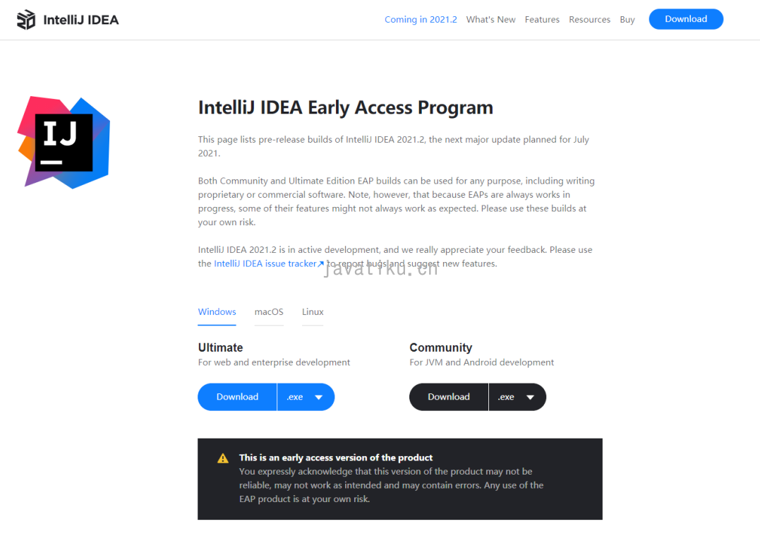 IntelliJ IDEA 2021.2